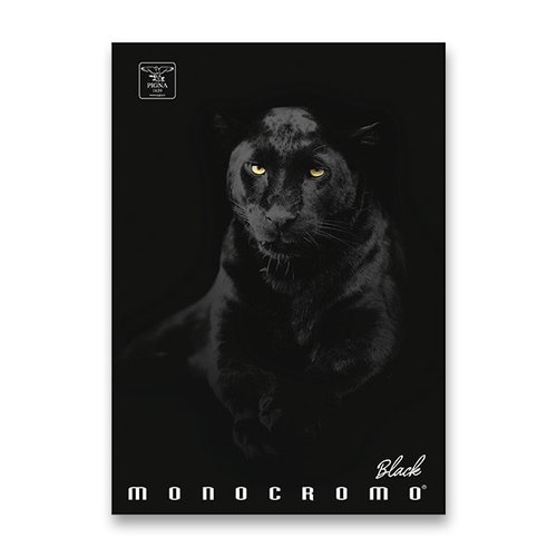 Pigna koln seit Monocromo Black A4, linkovan, 40 list, mix motiv