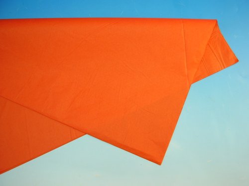Papr hedvbn oranov 50 x 70 cm, 19 g, arch