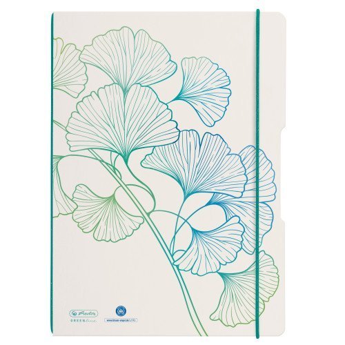 Seit flex A4/2x40 list, Ginkgo