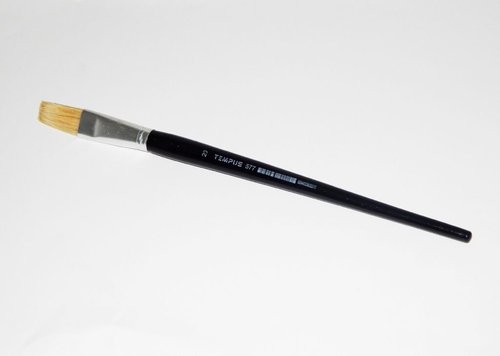 ttec Tempus ploch lak 20