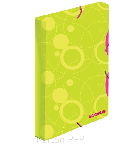 Karton P+P Krabice PP s gumou A4 Duo Colori zelená-růžová