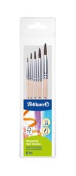 Pelikan ttce sada 24 . 2,6,8,10,12