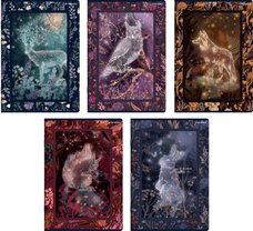 Seit TOP 2000 Fairy-Tale Story A5/32 list, linkovan, mix