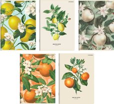 Seit Top 2000 Summer Harvest Club A5/60 list, linkovan, mix