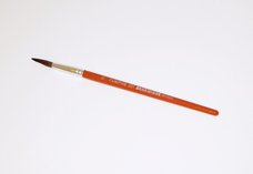 ttec Tempus kulat lak 12