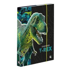 Box na seity A5 Premium Dinosaurus