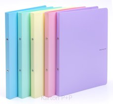 Karton P+P Poada PP A4 2kr. PASTELINI zelen